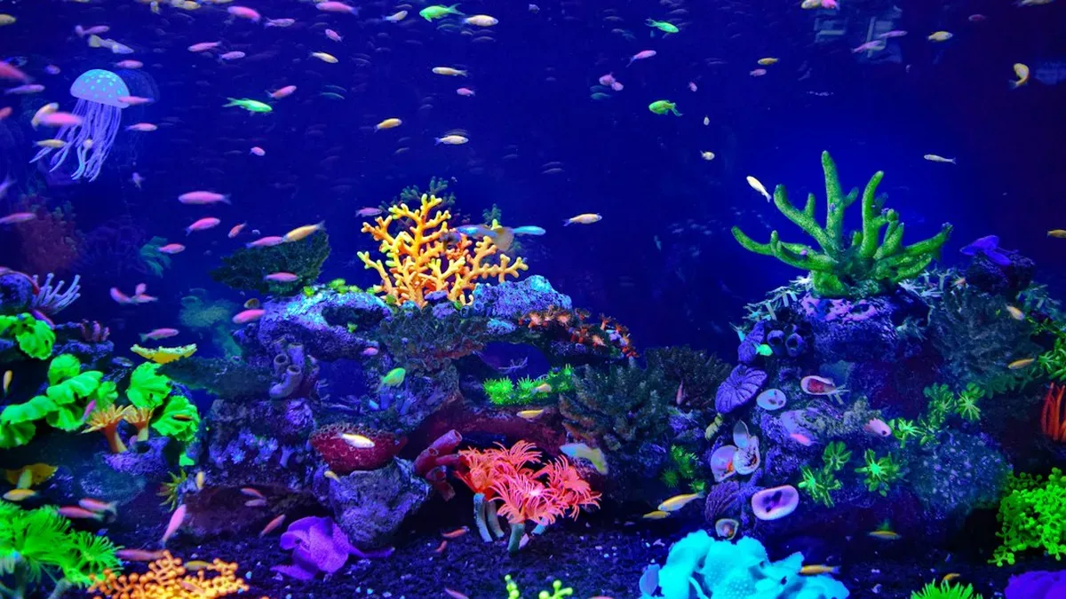 comment choisir sa pompe a aquarium — Comment choisir sa pompe à aquarium ?